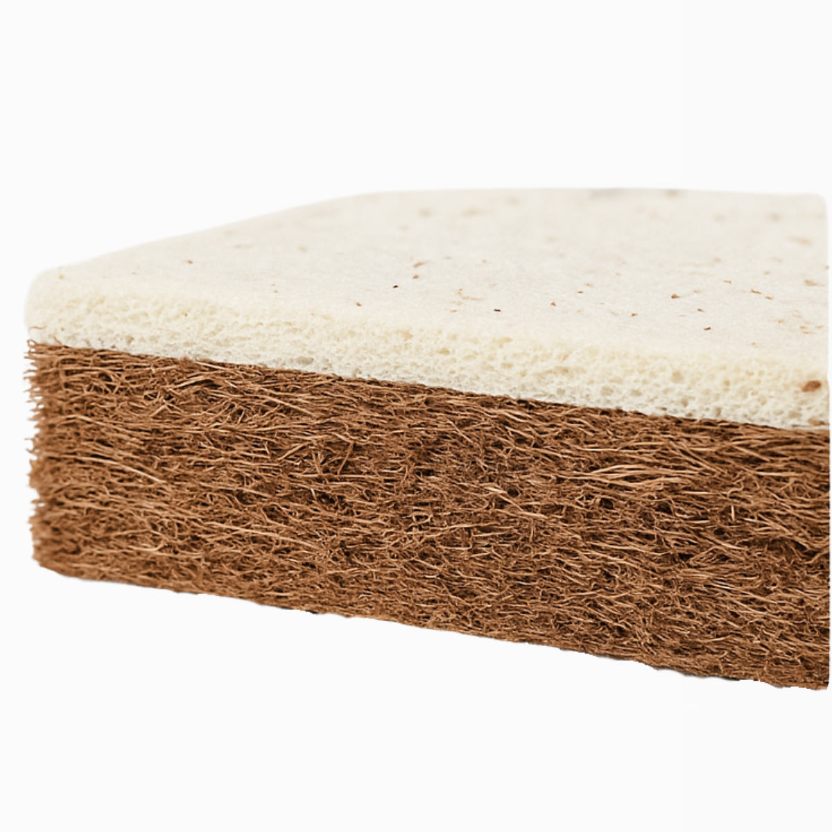 Kokosnussfaserschicht - Mmcocco
